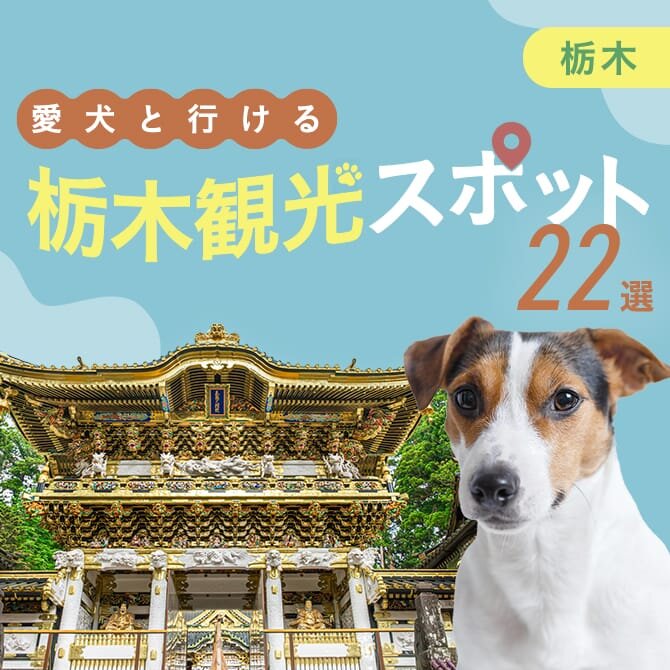 【日光・鬼怒川の犬連れで行ける観光スポット22選】愛犬と行けるお出かけスポット・ランチ！