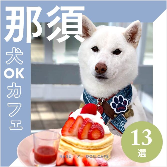【那須ドッグカフェ・犬と行けるカフェ13選】ワンコメニューのあるカフェや大型犬同伴OKなカフェも！
