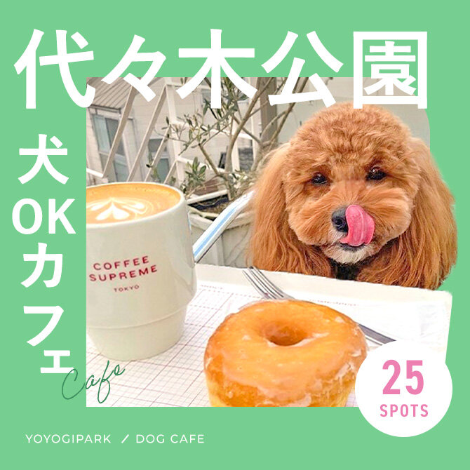 【代々木公園ドッグカフェ】代々木公園エリアで人気のおすすめドッグカフェ25選