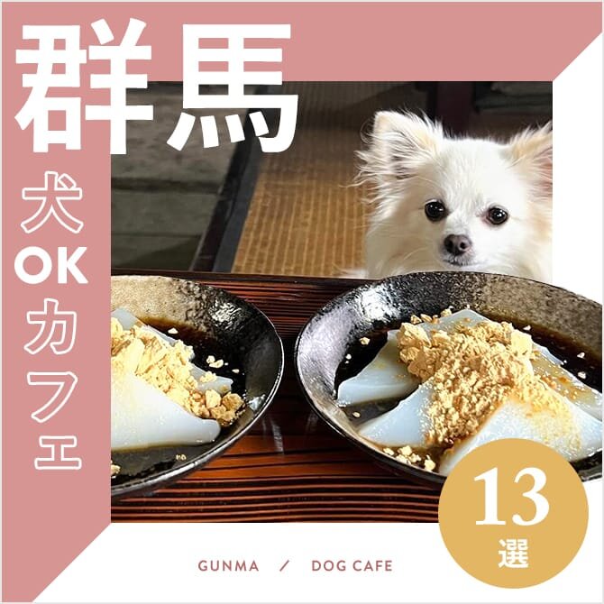 【群馬ドッグカフェ・犬と行けるカフェ13選】ドッグラン併設やワンコメニューのある人気ドッグカフェ