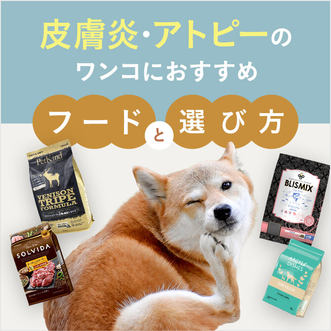 【犬の皮膚炎・犬のアトピーにおすすめのフード】犬の皮膚トラブルやアトピー対策におすすめのフードと選び方を解説！