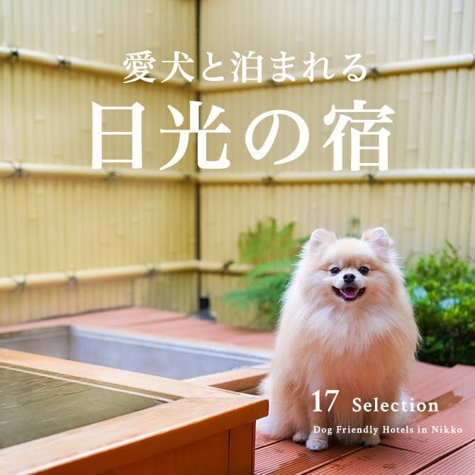 日光のペットと泊まれる宿ランキング｜温泉宿・コテージ