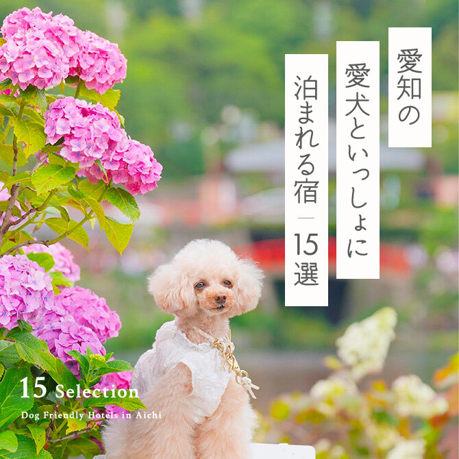 【愛知の犬と泊まれる宿15選】愛知で人気のペットと泊まれる宿15選｜2023年版