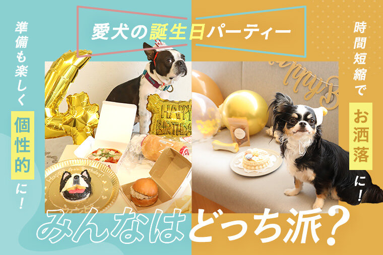 犬用誕生日グッズ】飾りつけやケーキなど愛犬の誕生日におすすめの