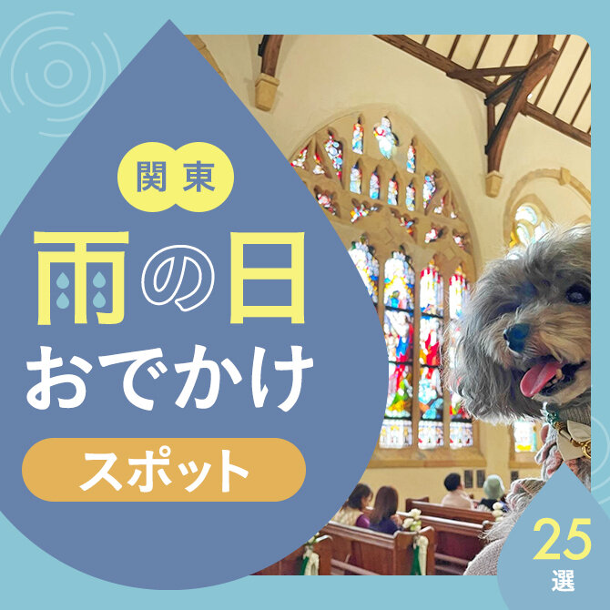 雨の日もOK！愛犬といける犬連れおでかけスポット・施設【関東25選】