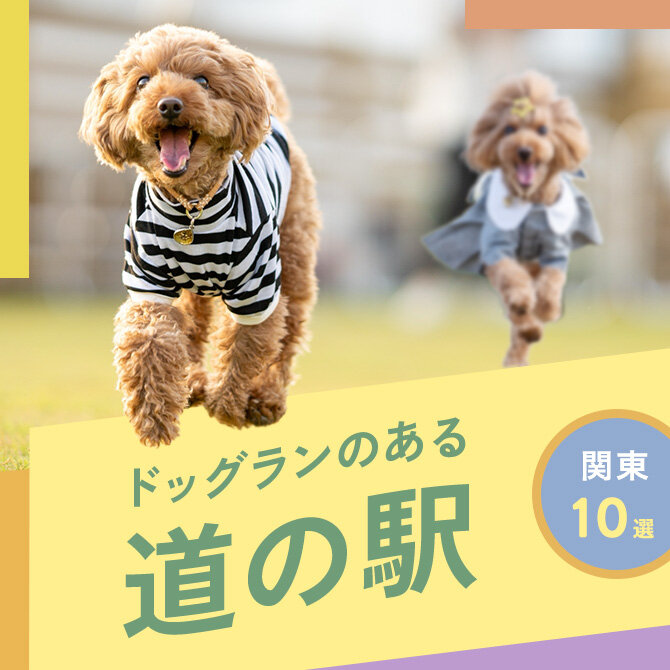 【関東】ドッグランがある道の駅10選
