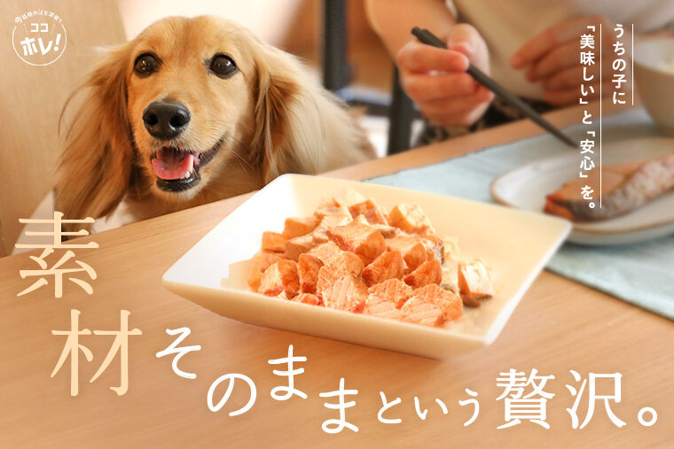 保存料・添加物ゼロ！素材そのままの美味しさと安心を届ける。愛犬のために選びたい、みちのくファームの犬用無添加おやつ