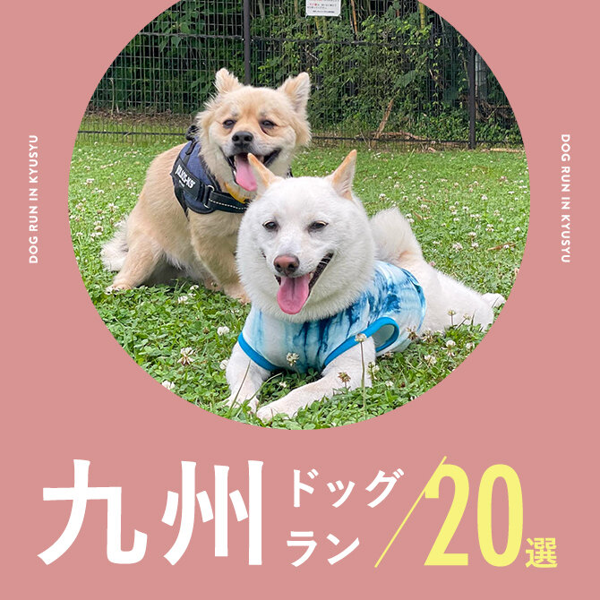【九州のおすすめドッグラン20選】綺麗で広い芝生！カフェ併設や無料も！