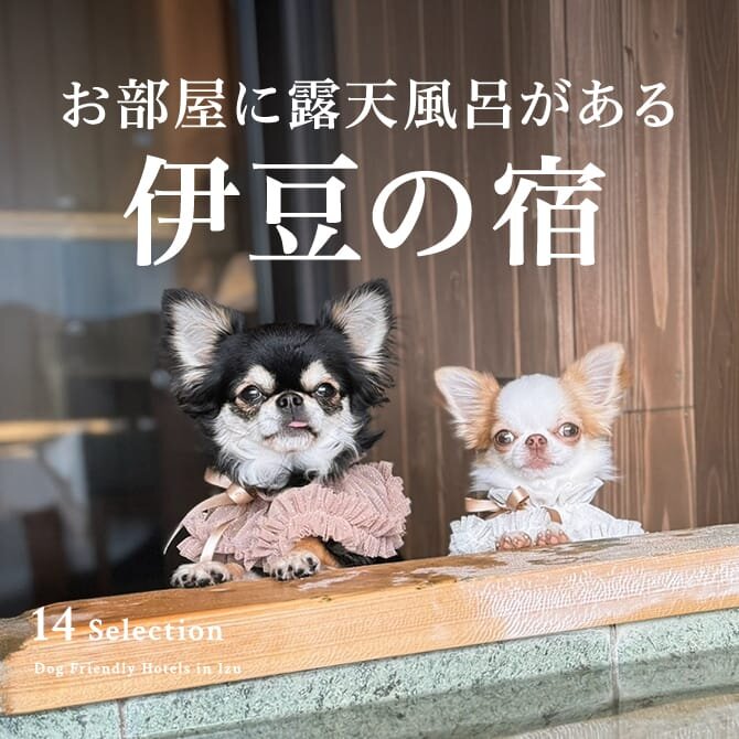 【静岡・伊豆】犬と泊まれる露天風呂付き客室があるお宿14選