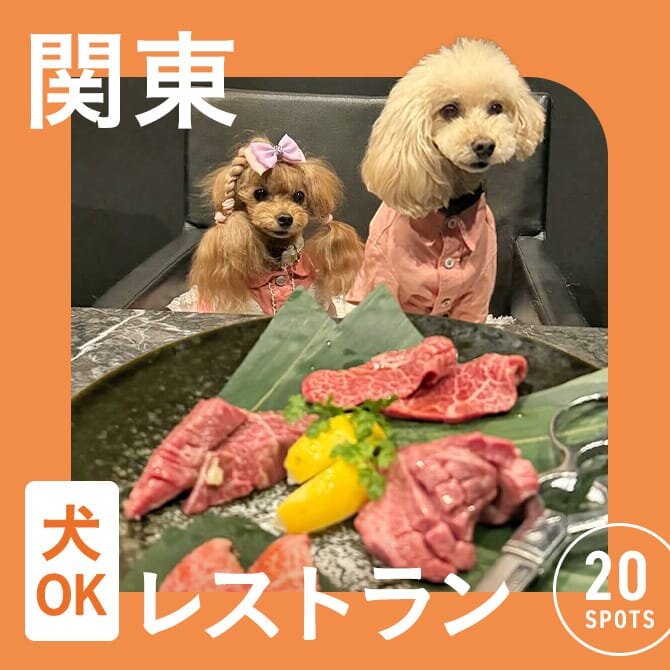 【関東で愛犬と行けるレストラン20選】店内OK！ワンコメニューのあるレストランも！