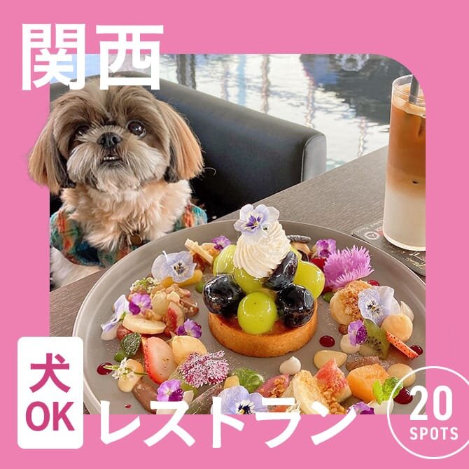【関西で愛犬と行けるレストラン20選】店内OK！ワンコメニューのあるレストランも！