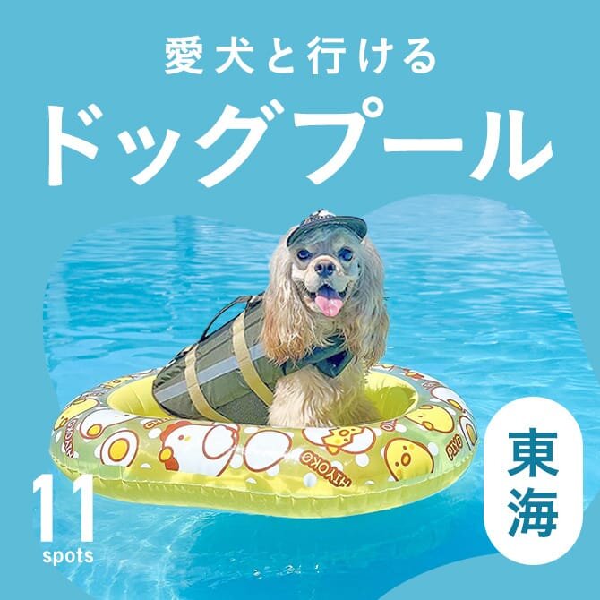 【犬用プール11選】東海のドッグプール・愛犬と水遊びできる犬用プールがある施設まとめ
