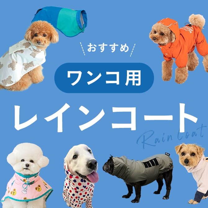 【犬用レインコート おすすめ26選】人気のモンベルや着せやすい背中開きもご紹介｜2025年最新版