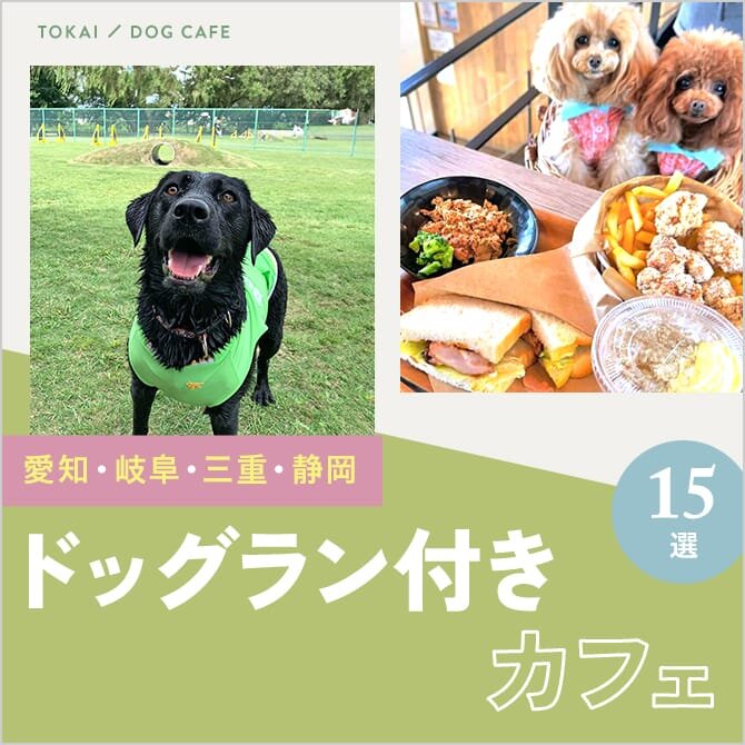 【東海のドッグラン付きドッグカフェ15選】プール付きやワンコメニューのあるカフェも！
