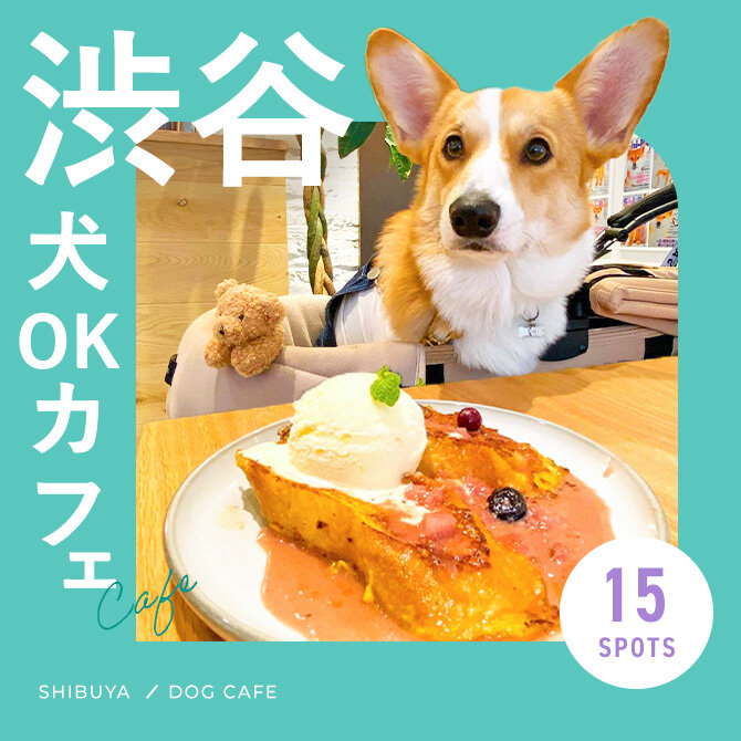 【渋谷ドッグカフェ15選】渋谷エリアでおすすめの店内犬同伴OKカフェ