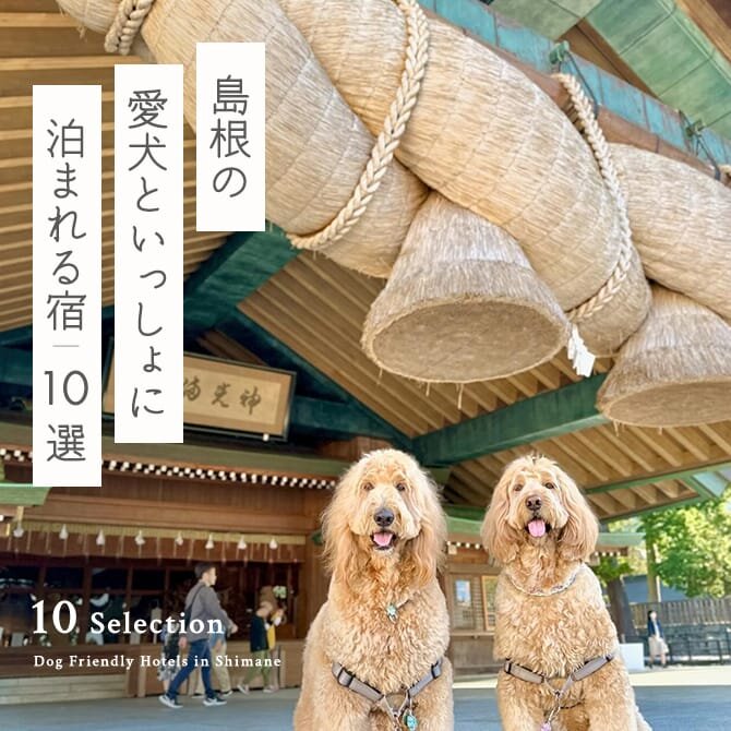 【島根の犬と泊まれる宿10選】島根で人気のペットと泊まれる宿｜2024年最新