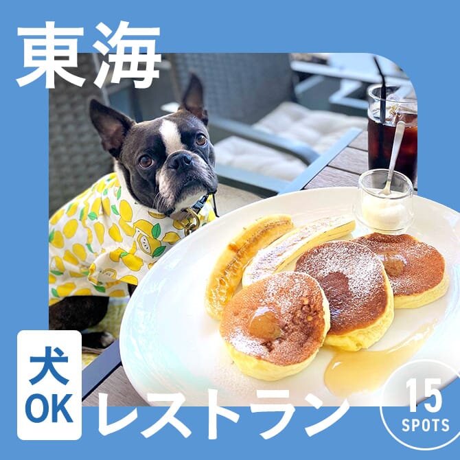【東海で愛犬と行けるレストラン15選】店内OKやワンコメニューのあるレストランも
