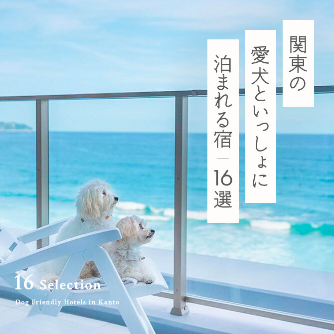 【関東のペットと泊まれる宿16選】関東の人気宿に愛犬と泊まろう！