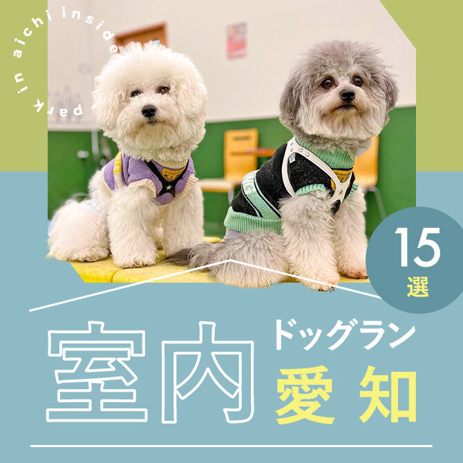 【愛知の室内ドッグラン15選】雨の日も遊べる人気の愛知室内ドッグラン特集