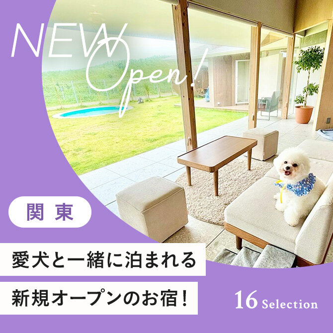 関東のペットと泊まれる新規オープンの宿 2024年〜2025年版｜最新犬と泊まれる宿