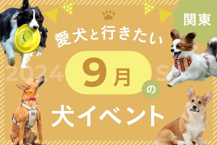 2024年版】関東で愛犬と行きたいドッグイベント情報