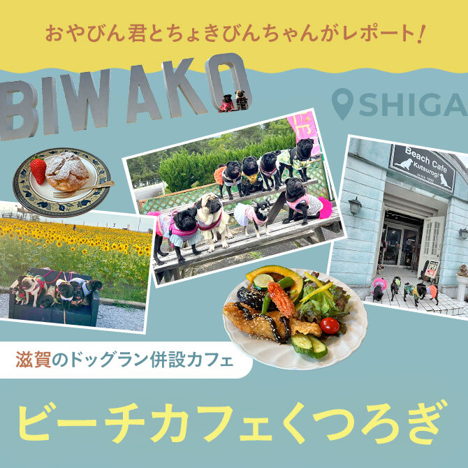 【ビーチカフェくつろぎ】滋賀ドッグカフェおでかけレポート