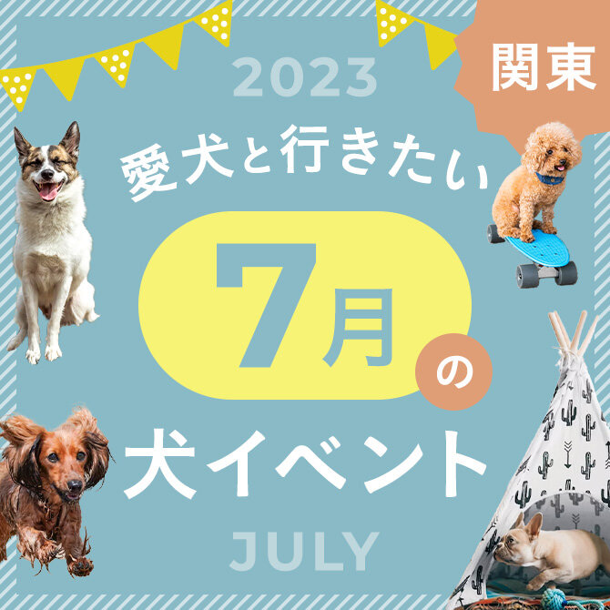 【2023年7月】関東で愛犬と行きたいドッグイベント10選