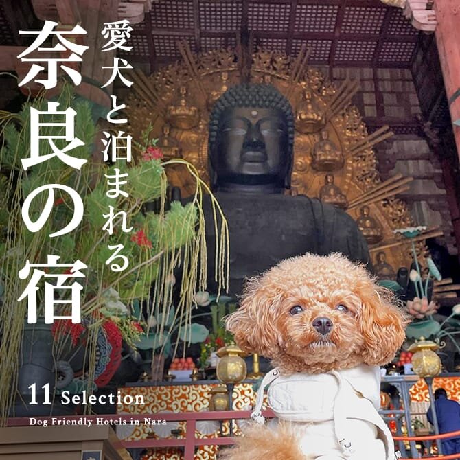 【奈良のペットと泊まれる宿】奈良の犬と泊まれる人気宿11選！温泉・コテージも紹介。