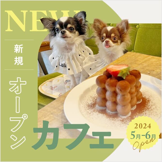 【2024年5月・6月新規オープンカフェ】愛犬と行ける話題の最新カフェ