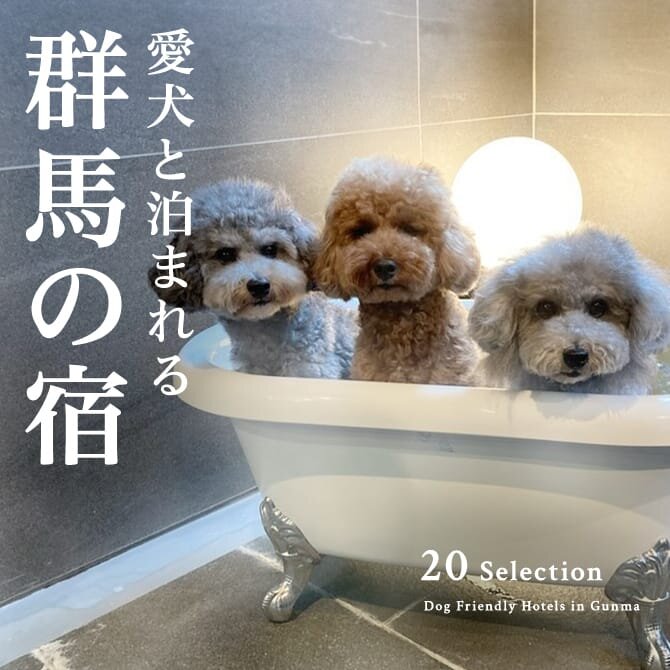 群馬のペットと泊まれる宿人気ランキング｜温泉宿・コテージ一覧