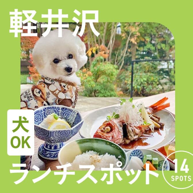 【軽井沢の犬連れランチ・カフェ14選】ペット可・犬連れOK！名物グルメや人気ランチが楽しめるカフェ