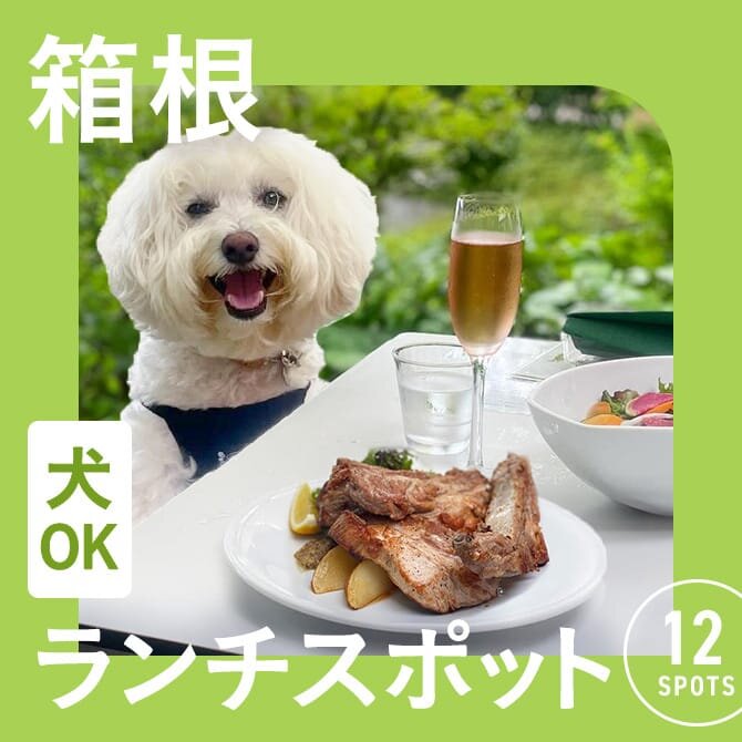 【箱根の犬連れランチ・カフェ12選】ペット可・犬連れOK！名物グルメや人気ランチが楽しめるカフェ