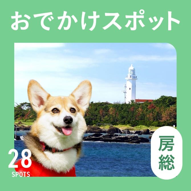 【房総の犬といけるお出かけスポット28選】房総の犬連れOKランチからペット同伴可の観光スポットまで！