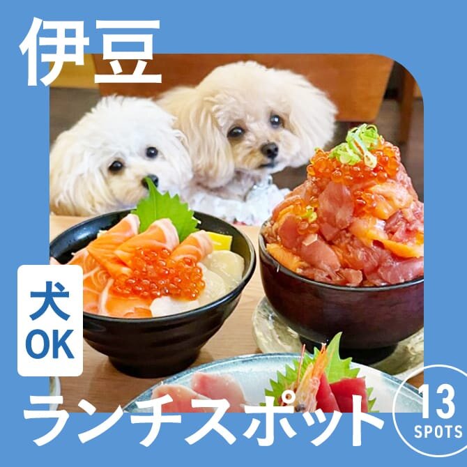 【伊豆の犬連れランチ・カフェ13選】ペット可・犬連れOK！名物グルメや人気ランチが楽しめるカフェ