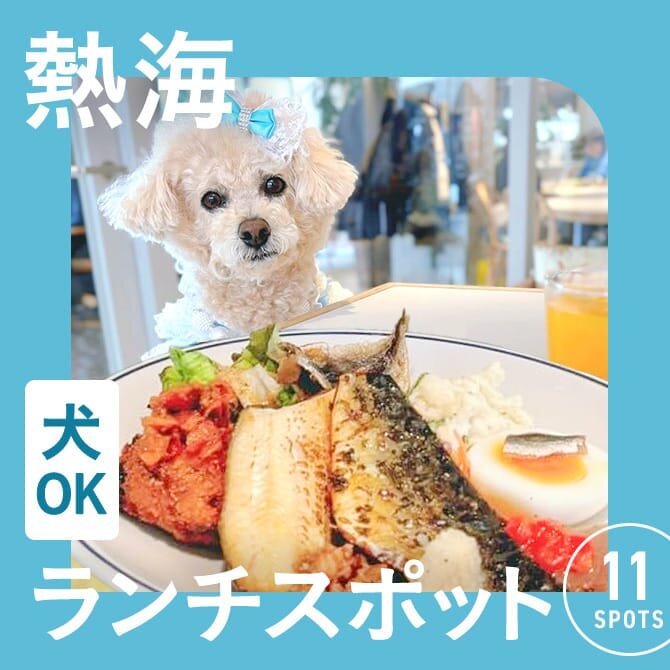 【熱海の犬連れランチ・カフェ11選】ペット可・犬連れOK！海鮮や人気ランチが楽しめるカフェ