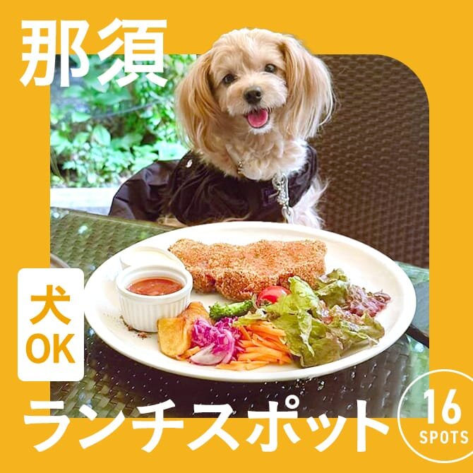 【那須】犬連れでランチができるカフェ16選！ペット可・店内犬同伴OKカフェまとめ