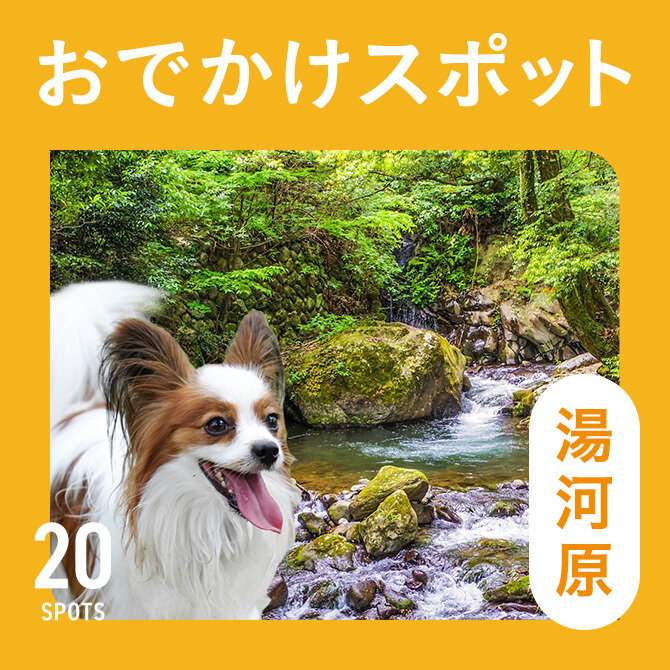 【湯河原】犬連れおでかけスポット20選！ペット同伴可ランチ・観光スポット特集