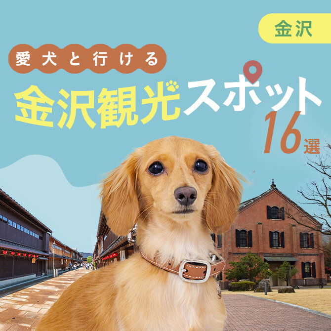 【金沢】犬連れおでかけスポット16選！ペット同伴可の観光スポット