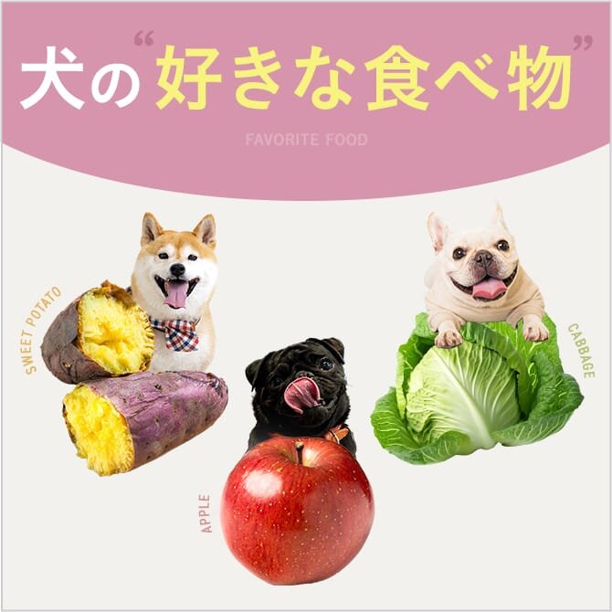 【犬が好きな食べ物10選】肉、野菜、果物など紹介
