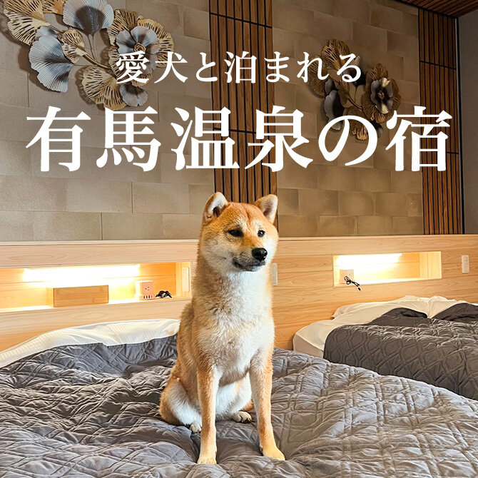 有馬温泉のペットと泊まれる人気宿