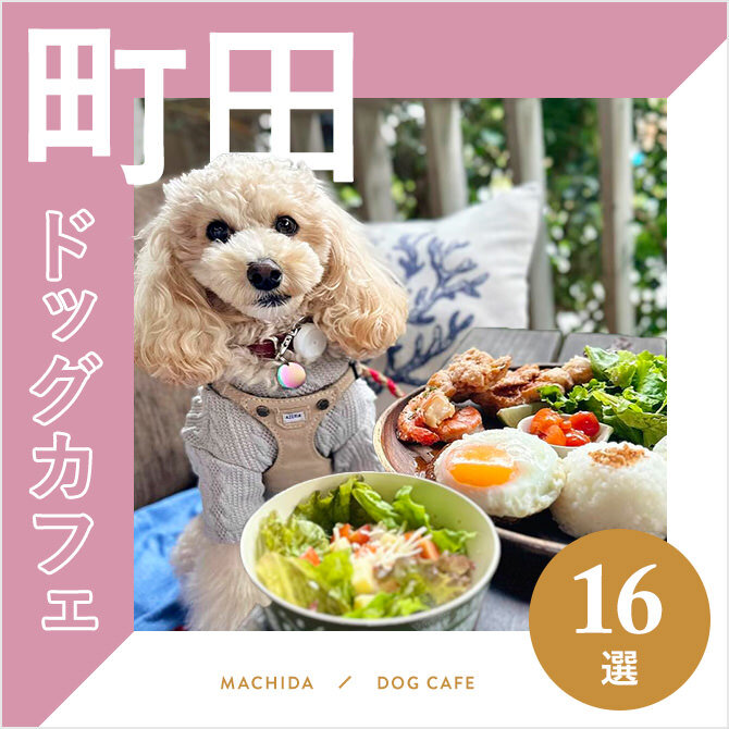 【町田ドッグカフェ】町田で人気のおすすめドッグカフェ16選｜2023年版
