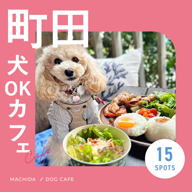 【町田ドッグカフェ15選】犬連れOKの町田で人気のドッグカフェ