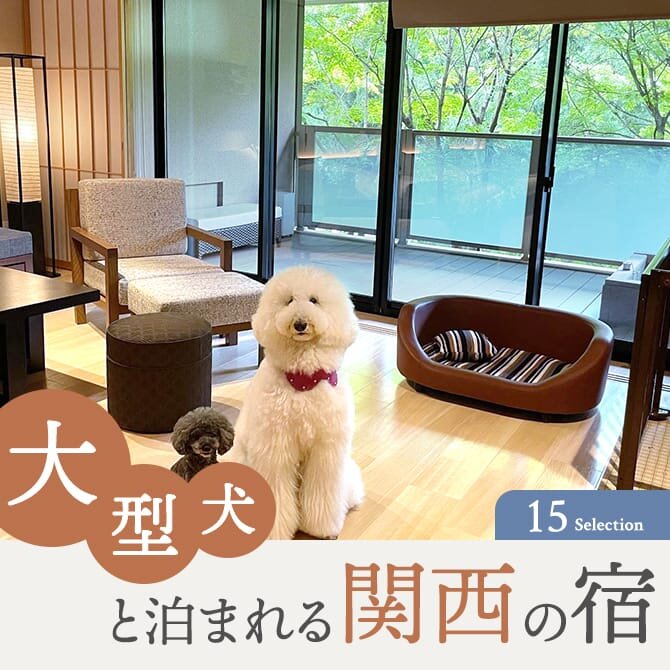 【大型犬】関西の大型犬と泊まれる宿｜ドッグラン付き人気宿