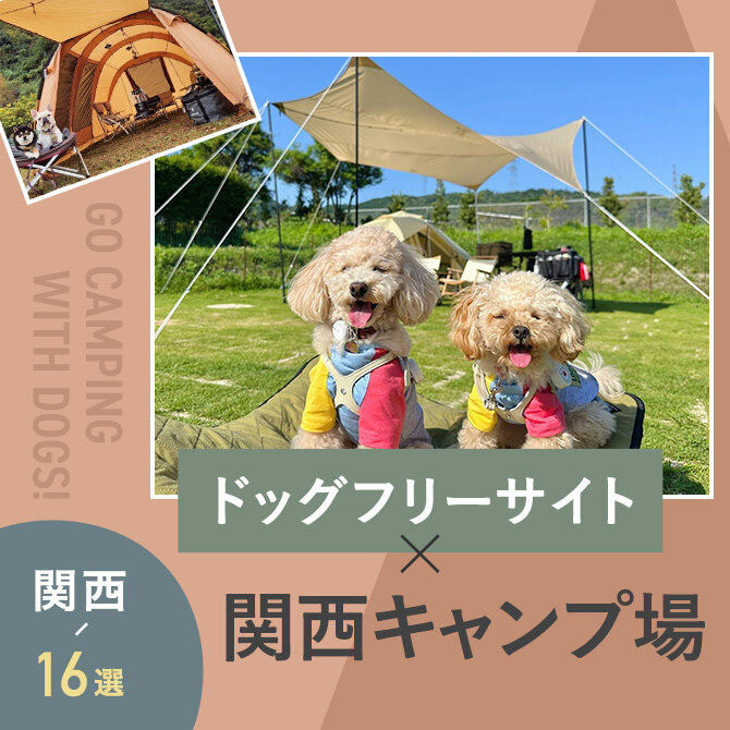 【関西のドッグフリーサイトのあるキャンプ場16選】犬連れOKキャンプ場まとめ