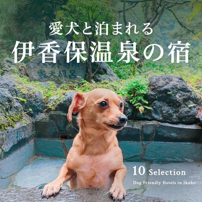 伊香保温泉のペットと泊まれる宿ランキング｜人気温泉宿一覧