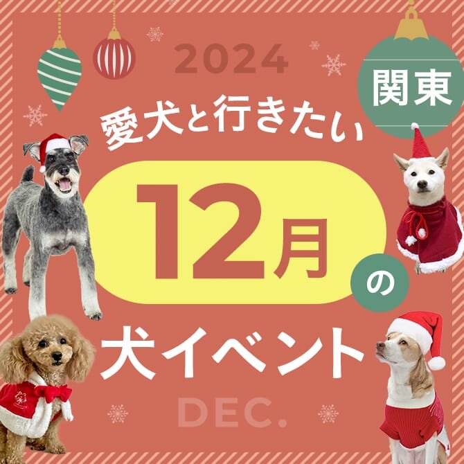 【2024年12月】関東で愛犬と行きたいドッグイベント16選