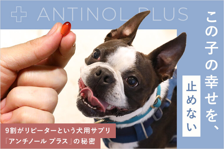 犬用サプリメント・アンチノールプラス】9割がリピーター！？関節