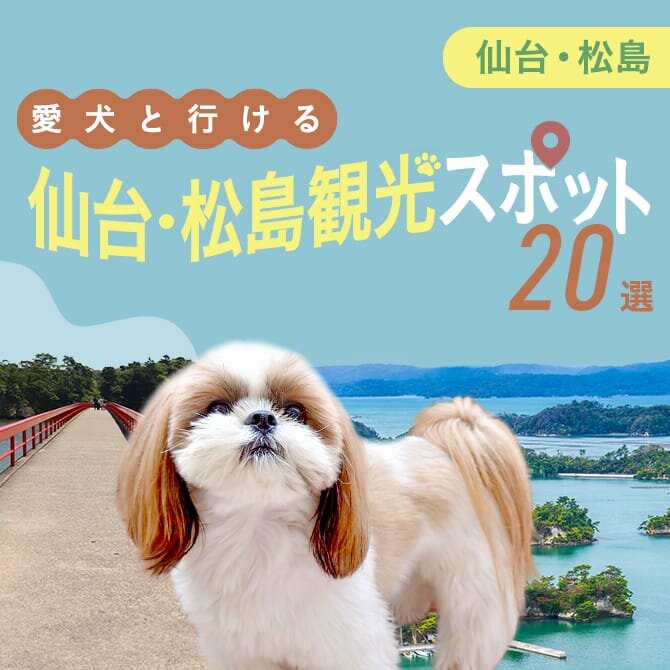 【仙台・松島の犬連れでいける観光スポット20選】仙台・松島の犬といけるランチ・お出かけスポット