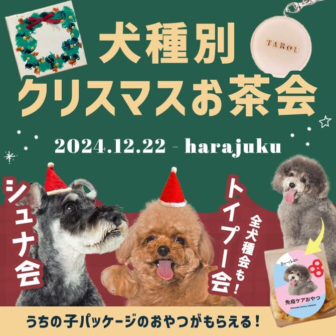 【ワンコnowa トイプー会/ミニシュナ会/全犬種会】12月22日原宿で クリスマスワークショップ 開催！