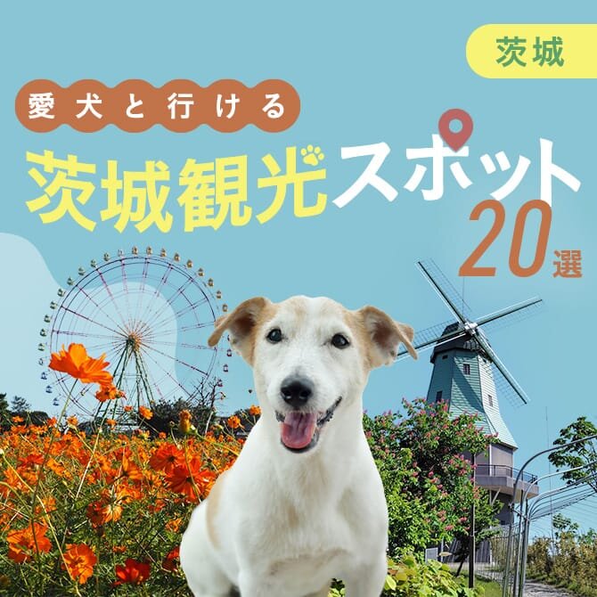 【茨城の犬連れでいける観光スポット20選】茨城の犬といけるお出かけスポット・ランチ